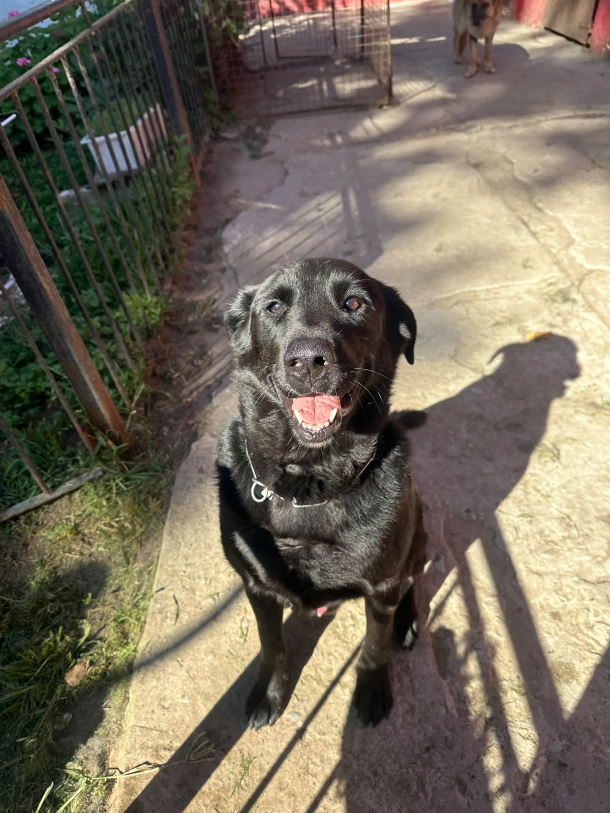 Clientes Centro Vilkas